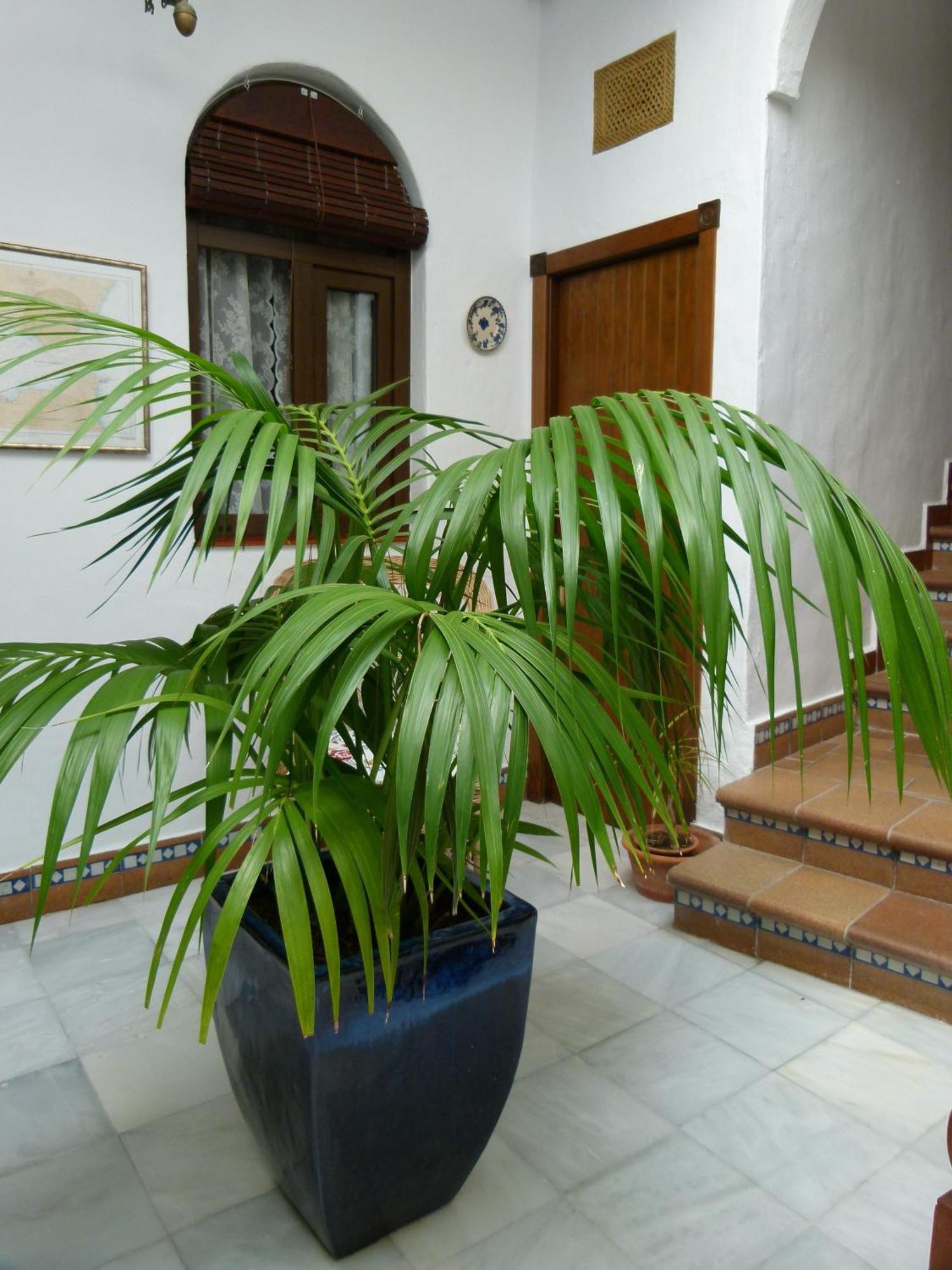 Maison d'hôtes Santa Catalina *